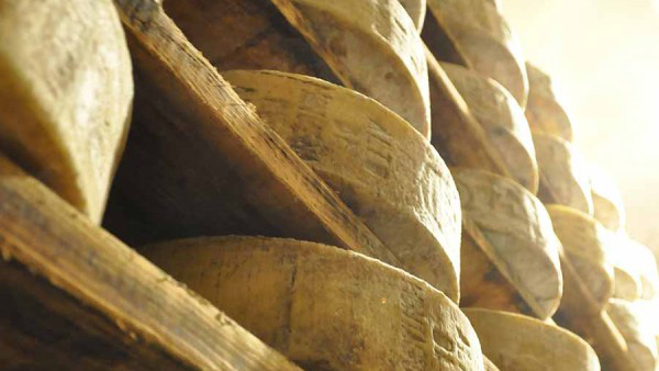 I nostri formaggi Dalle Nogare