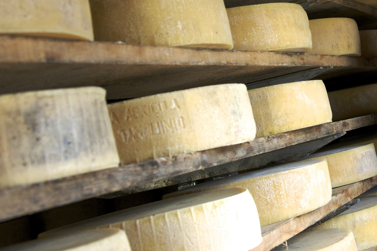 Formaggio d’alpeggio - Dalle Nogare