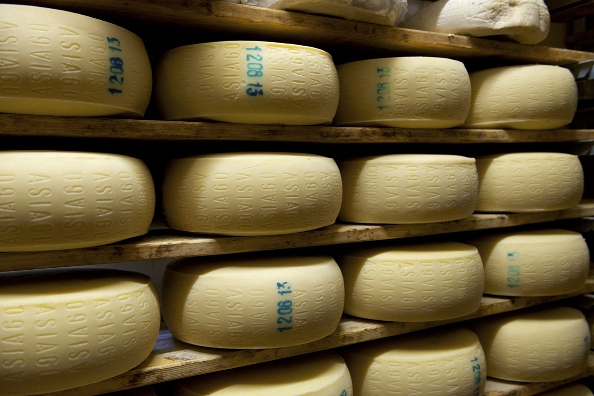 Asiago e Mezzano - Dalle Nogare