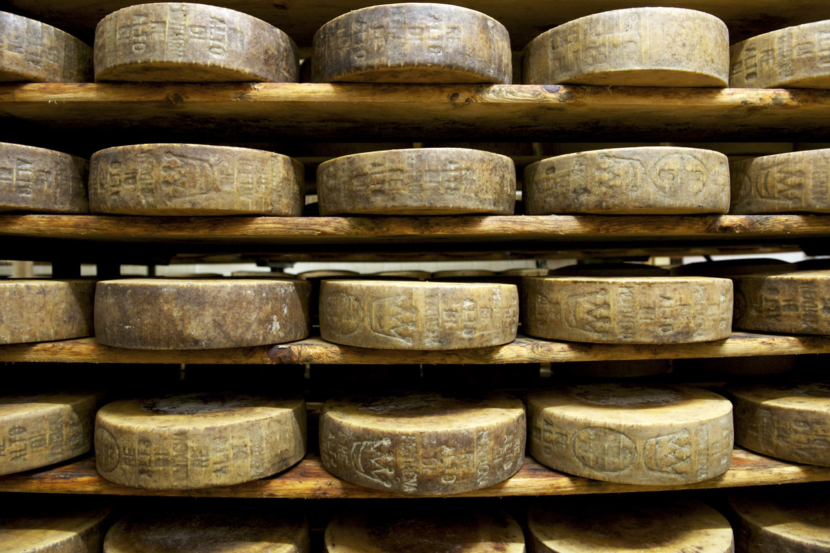 Mezzano - Dalle Nogare